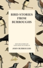 Image for Bird Stories from Burroughs - Sketches of Bird Life Taken from the Works of John Burroughs