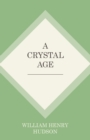 Image for A Crystal Age