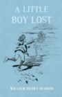 Image for A Little Boy Lost