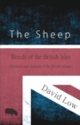 Image for The Sheep - Breeds of the British Isles (Domesticated Animals of the British Islands)