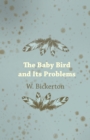 Image for The Baby Bird and Its Problems