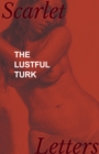 Image for Lustful Turk.