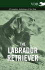 Image for Labrador Retriever - A Complete Anthology of the Dog.