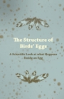 Image for Structure of Bird&#39;s Eggs - A Scientific Look at What Happens Inside an Egg.