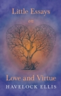 Image for Little Essays on Love and Virtue