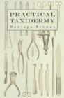 Image for Practical Taxidermy - A Manual of Instruction to the Amateur in Collecting, Preserving, and Setting up Natural History Specimens of All Kinds. To Which is Added a Chapter Upon the Pictorial Arrangement of Museums
