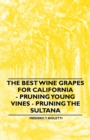 Image for Best Wine Grapes for California - Pruning Young Vines - Pruning the Sultana