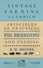Image for Principles of Practical Pig Breeding and Feeding