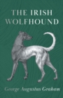 Image for Irish Wolfhound