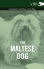Image for Maltese Dog - A Complete Anthology of the Dog.