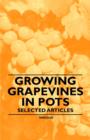 Image for Growing Grapevines in Pots - Selected Articles.
