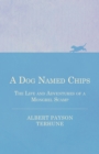 Image for Dog Named Chips - The Life and Adventures of a Mongrel Scamp