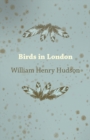 Image for Birds in London
