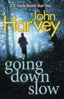 Image for Going down slow: a DI Charlie Resnick short story