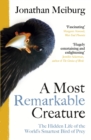 Image for A most remarkable creature: the hidden life and epic journey of the world&#39;s smartest bird of prey