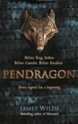 Image for Pendragon: a novel of the Dark Age
