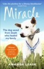 Image for Miracle: the extraordinary dog that refused to die