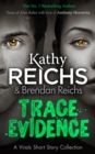 Image for Trace evidence: a Virals short story collection