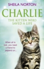 Image for Charlie the kitten who saved a life