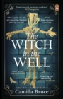 Image for The Witch in the Well