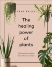 Image for The healing power of plants: the hero house plants that love you back