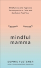 Image for Mindful Mamma: Mindfulness and Hypnosis Techniques for a Calm and Confident First Year