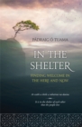 Image for In The Shelter