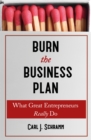 Image for Burn The Business Plan