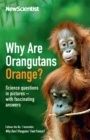 Image for Why Are Orangutans Orange? : Science questions in pictures -- with fascinating answers