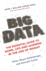 Image for Big data  : the essential guide to work, life and learning in the age of insight