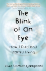 Image for The Blink of an Eye