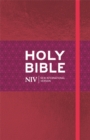 Image for NIV Ruby Thinline Bible
