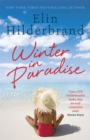 Image for Winter in paradise  : a novel