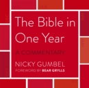 Image for The Bible in one year  : a commentary