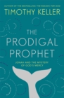 Image for The prodigal prophet  : Jonah and the mystery of God&#39;s mercy
