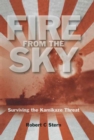 Image for Fire from the sky: surviving the kamikaze threat