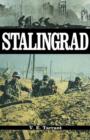 Image for Stalingrad: how the Red Army triumphed