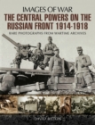 Image for The central powers on the Russian Front 1914-1918