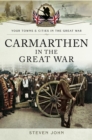 Image for Carmarthen in the Great War