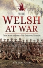 Image for Welsh at war