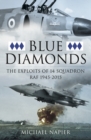 Image for Blue diamonds: the exploits of 14 Squadron RAF 1945-2015