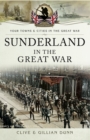 Image for Sunderland in the Great War