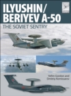 Image for Flight Craft 6: Ily&#39;yushin/Beriyev A-50 : 6