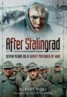 Image for After Stalingrad