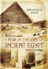 Image for A year in the life of ancient Egypt