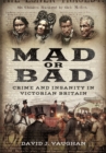 Image for Mad or Bad: Crime and Insanity in Victorian Britain