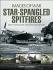 Image for Star-spangled spitfires