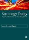 Image for Sociology today: social transformations in a globalizing world