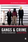 Image for Gangs &amp; crime  : critical alternatives