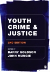 Image for Youth crime &amp; justice